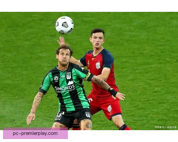 墨尔本城布里斯班狮吼前主帅维多希奇逝世